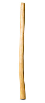 Medium Size Natural Finish Didgeridoo (TW1590)